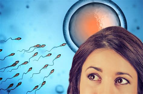 Image result for Humans Actually Making a Baby