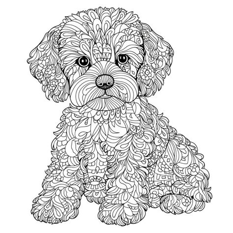 65 Whimsical Wildlife Highly Detailed Colouring Pages of Adorable ...