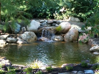Pond Design Ideas 的图像结果