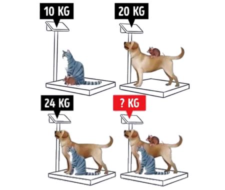 Image result for Terminal Exercises Math Integrale