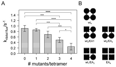 Covalently Linking Oligomerization-Impaired GlpF Protomers Does Not ...