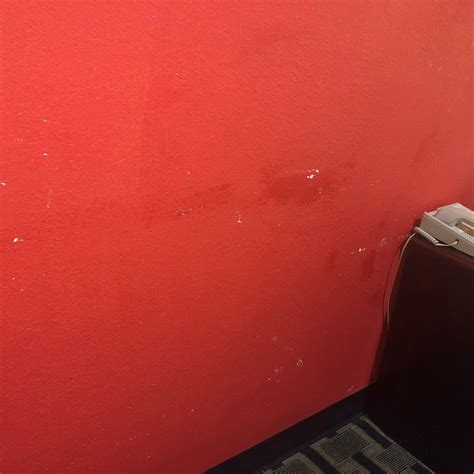 ECONO LODGE LAUREL - Motel Reviews, Photos, Rate Comparison - Tripadvisor