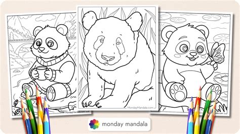 Baby Panda Bears Coloring Pages Panda Coloring Pages For Kids (Free