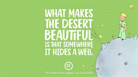 Little Prince Quotes In French And English | the quotes