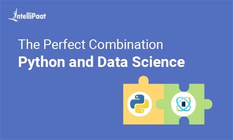Intellipaat Python Tutorial 的图像结果
