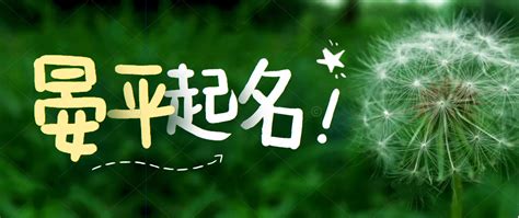 2020年鼠宝宝朱姓男孩名字、女孩名字起名大全 - 知乎