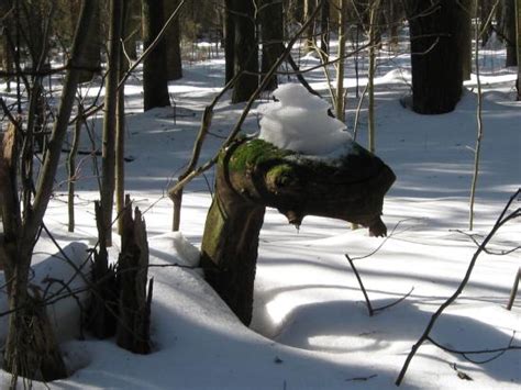 SANATORIUM IM. VTSSPS (Nizhny Novgorod) - Russian Health Resort Reviews ...