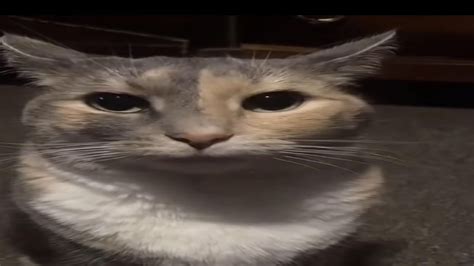 Image result for BoneLab Loading Screen