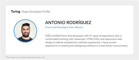 Image result for Spring Boot Project Example Resume