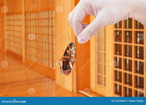 Inside a Cockroach 的图像结果