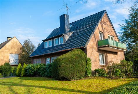 Image result for Apollo Pest Control