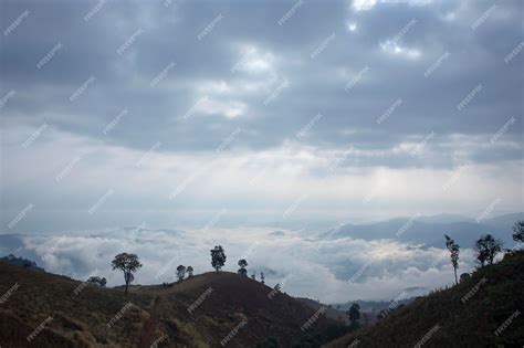 Beautiful Morning View 的图像结果