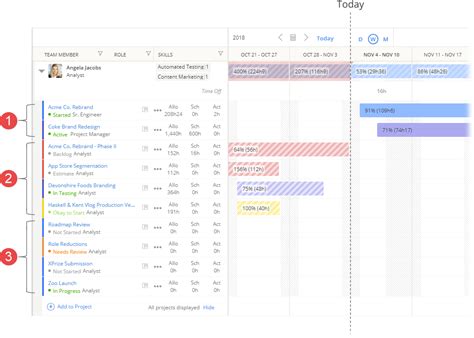 Image result for Project Operations Resource Management