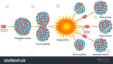 Nuclear Reaction Process 的图像结果