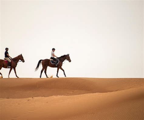 https://dynamic-media-cdn.tripadvisor.com/media/photo-o/18/c6/9c/a9/caption.jpg?h=1200&s=1&w=1200