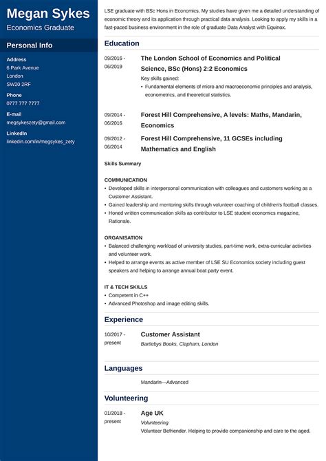 Image result for Job CV Examples