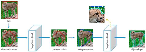 Contour-Based Wild Animal Instance Segmentation Using a Few-Shot Detector