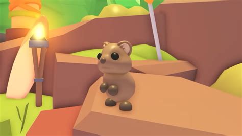 Image result for AdoptMe Co