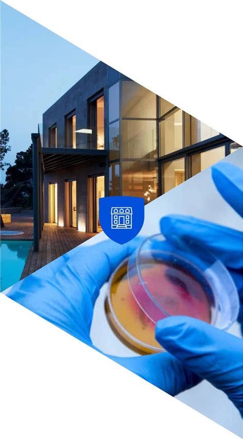 Image result for Mold Testing MA