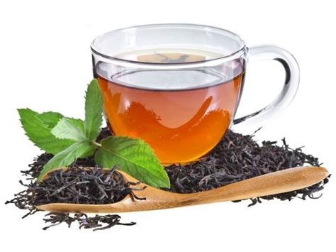 黑茶（山茶科茶属植物）_百度百科