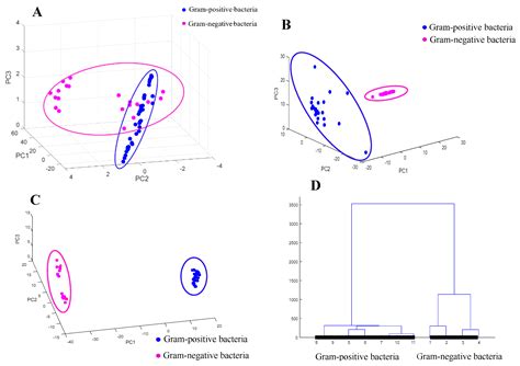 Classification and Identification of Foodborne Bacteria in Beef by ...