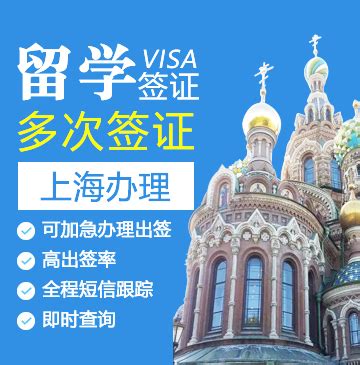 俄罗斯新的电子签证，在2021年1月1号生效 - 知乎