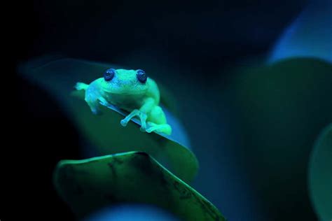 Science Channel Documentaries 的图像结果