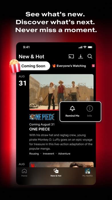 Image result for Add Netflix to My Computer