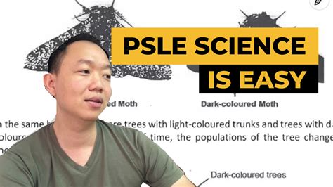 Image result for PSLE Science Explained