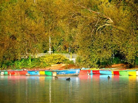 Zoo Lake Park (Johannesburg) - 2020 What to Know Before You Go (with ...