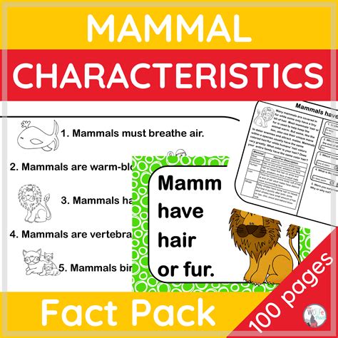 Mammal Characteristics