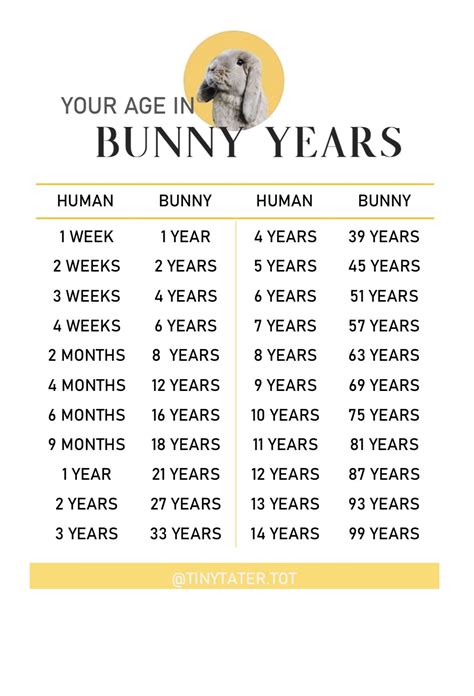 Rabbit Years
