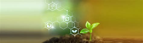 Stewardship 的图像结果