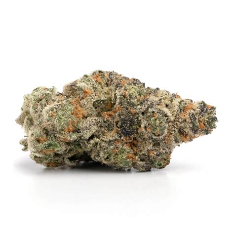 Alien Glue 的图像结果