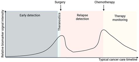 Bridging Discovery and Treatment: Cancer Biomarker