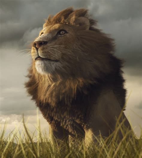 About Wild Animals lion: Adaptations of African Lions - adaptations of lion