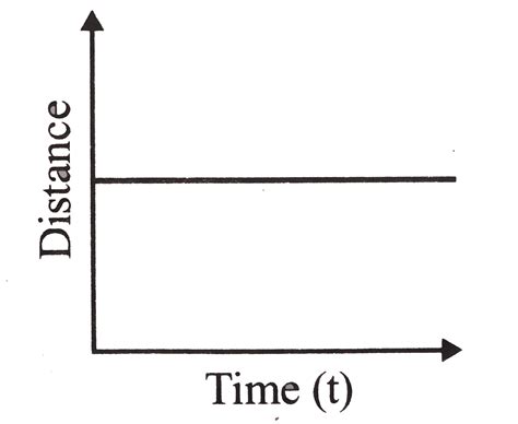Image result for Distance Time Graph Class 9 Toppr