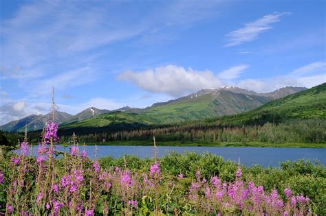 Uniform Guidance 2 CFR Part 200 | AAHA