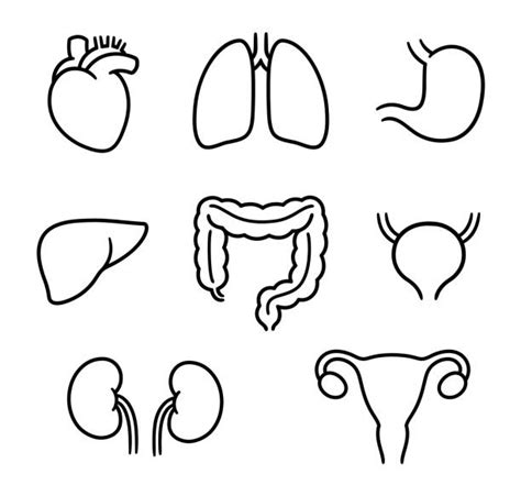 Biology Clip Art 的图像结果