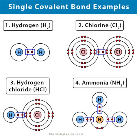 Image result for Covalent Compounds Examples