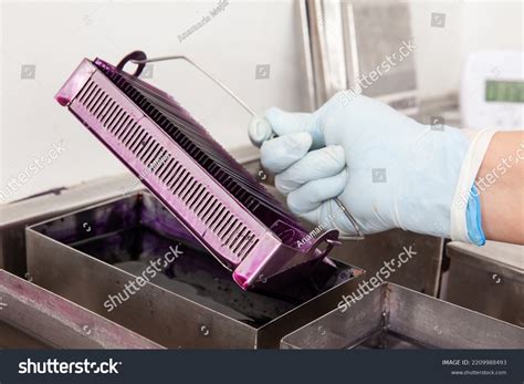 Microscope Slide 的图像结果