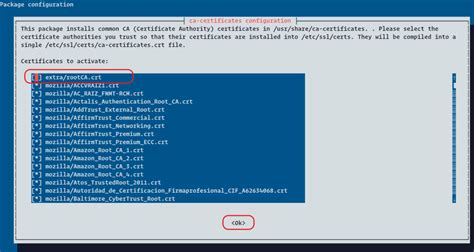 Image result for Install CA Certificate in Java
