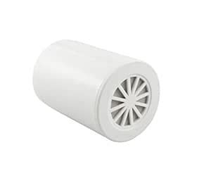 Anti Hair Fall Shower Filter with Replaceable Filter Cartridge, Several ...