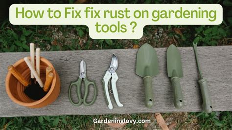 Maintenance Tips to Prevent Rust
