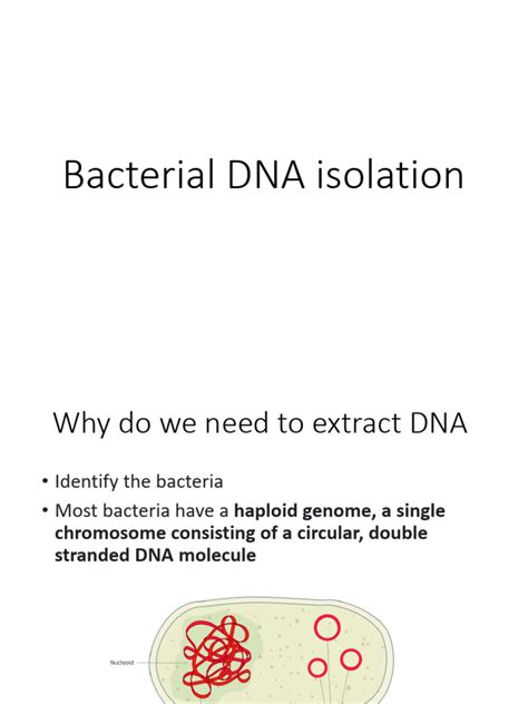 Isolation of RNA From Bacteria 的图像结果