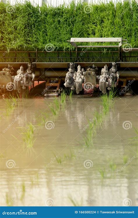 Image result for Rice Field Use Transplanter Machine