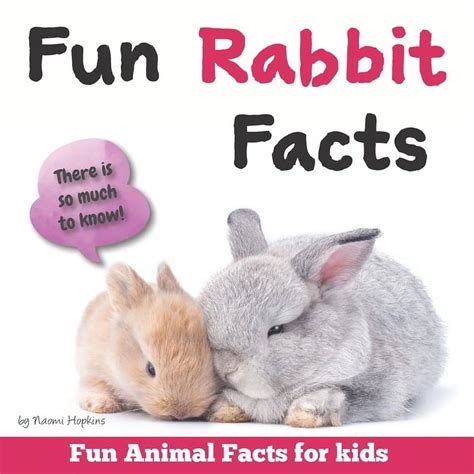 Fun Rabbit Facts: Fun Animal Facts for kids (Bunny FACTS BOOK WITH ...