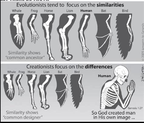 Q. 2 A) Write scientific reasons. 1) Presence of vestigial organs in ...