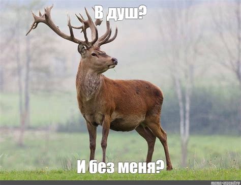 Meme: "В душ? И без меня?" - All Templates - Meme-arsenal.com
