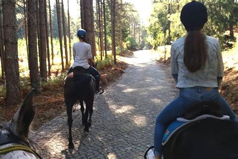 CENTRO HÍPICO MELGAÇO (2026) All You Need to Know BEFORE You Go (with ...